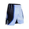 Compression Shorts White with Blue Lines